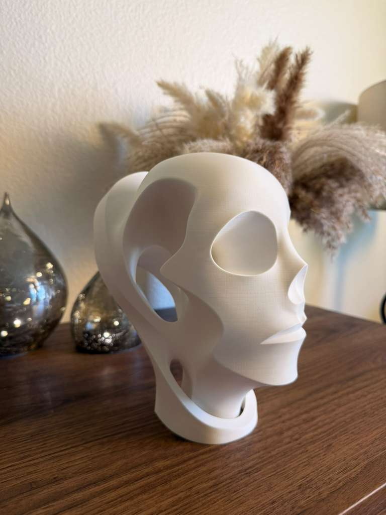 Abstract Head Sculpture