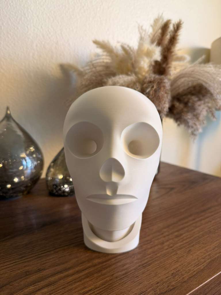 Abstract Head Sculpture