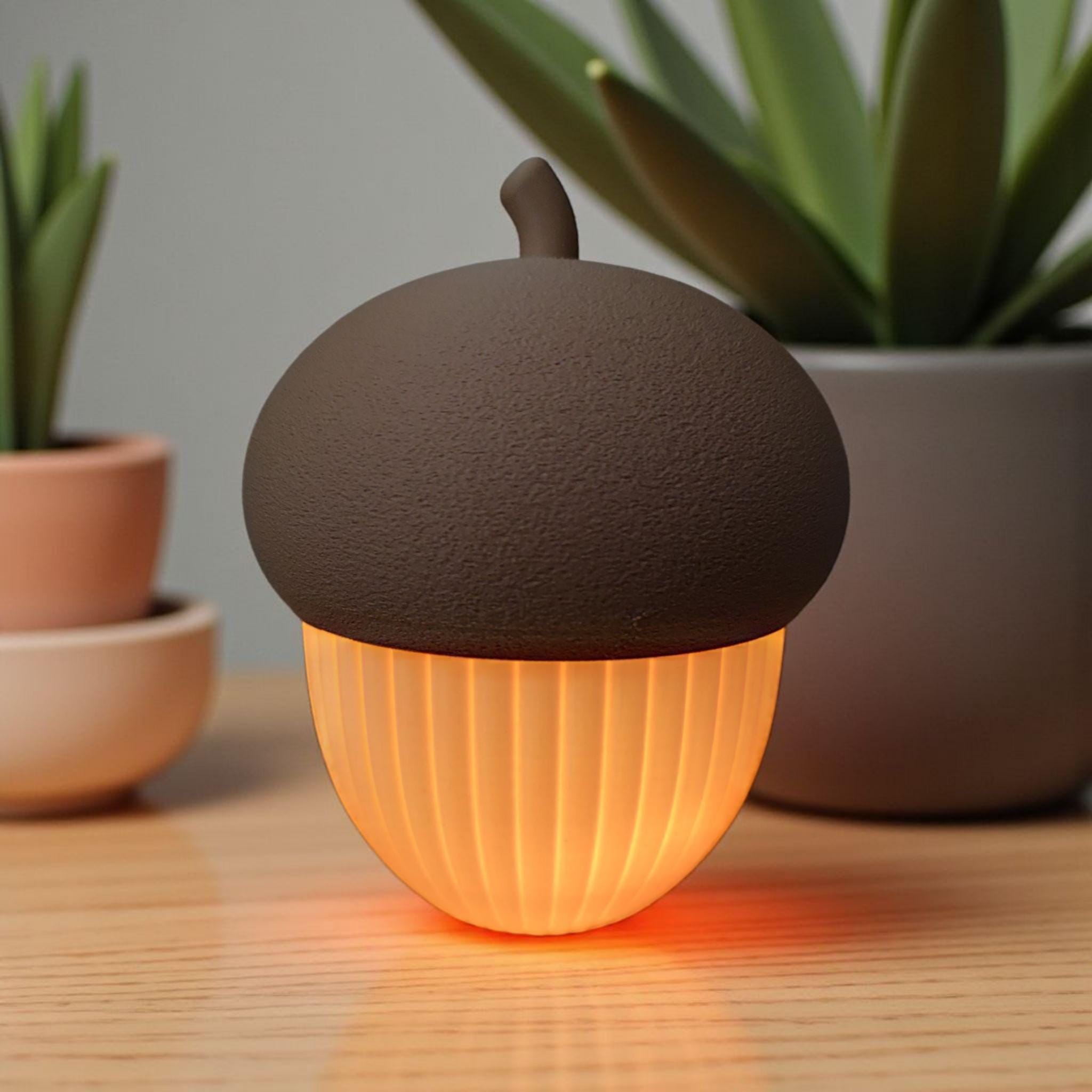 Acorn Container