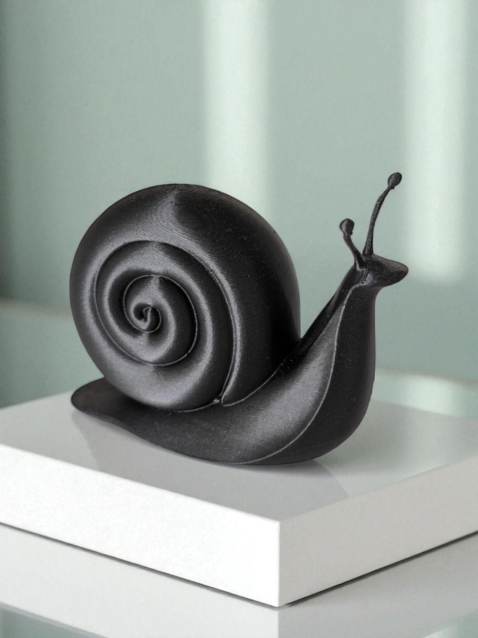 Minimalist Snail Sculpture
