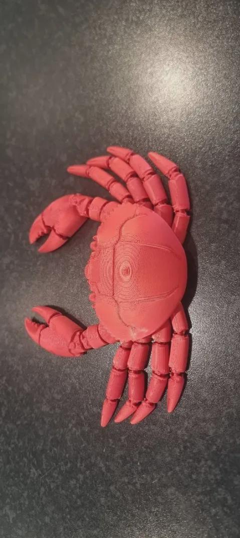 Articulated Crab Toy Set
