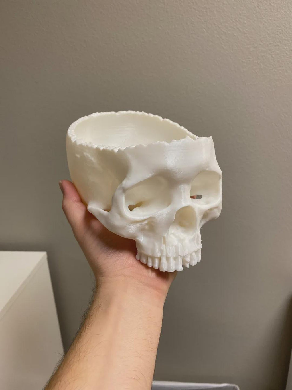 Realistic Skull Candy Bowl