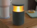 WAVE Portable Lamp