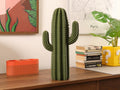 3D Printed Cactus Organizer