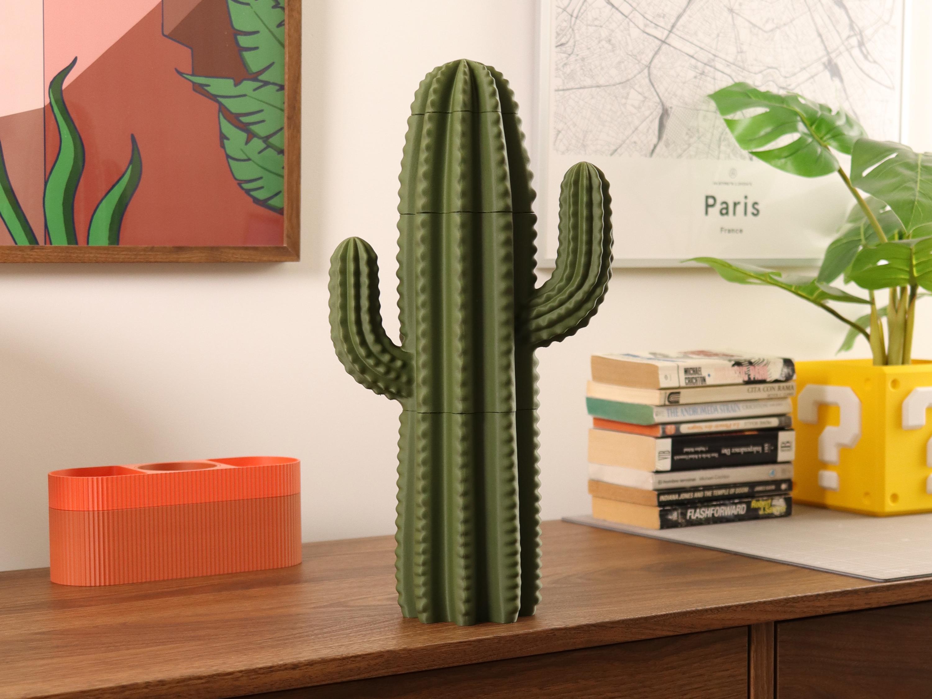 3D Printed Cactus Organizer