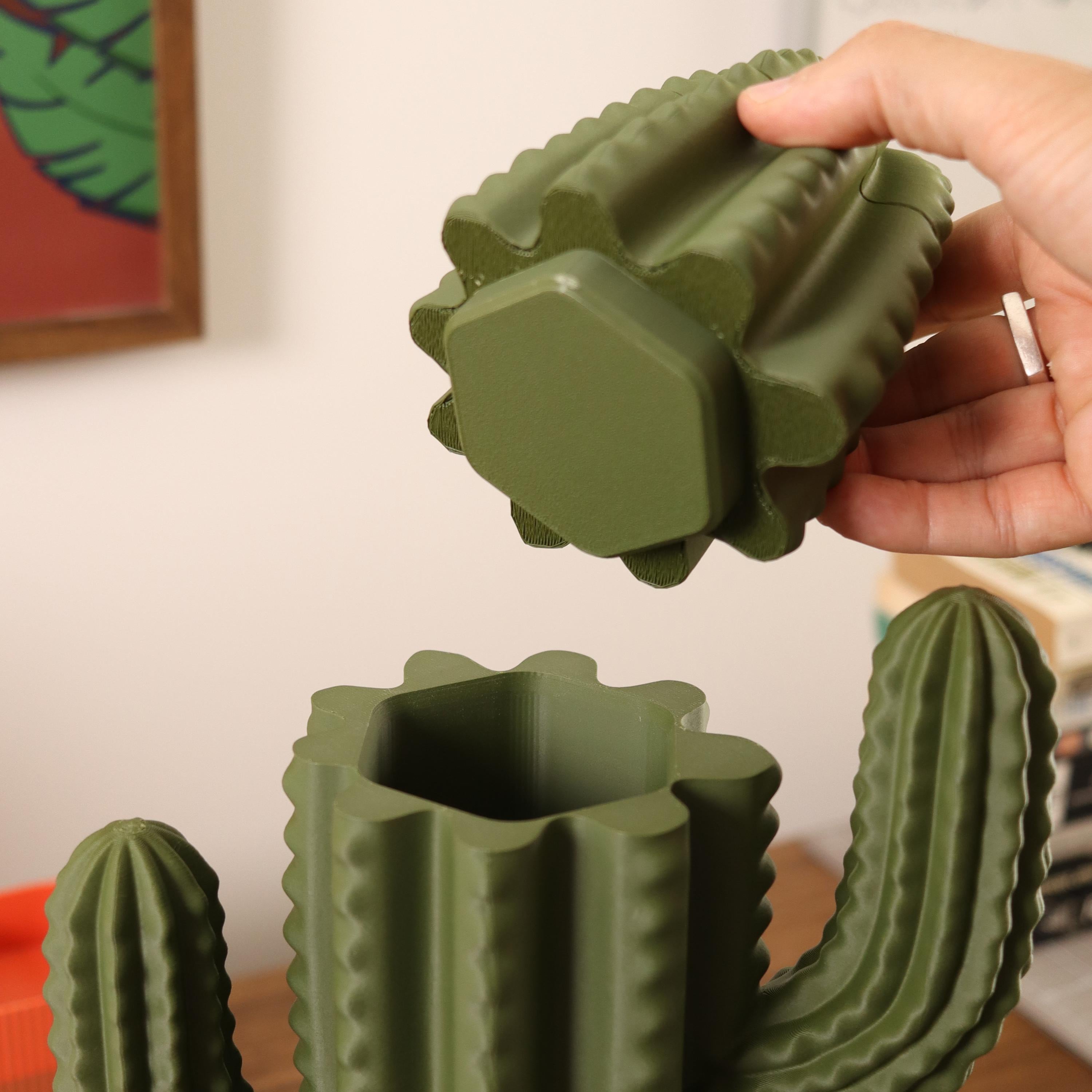 3D Printed Cactus Organizer